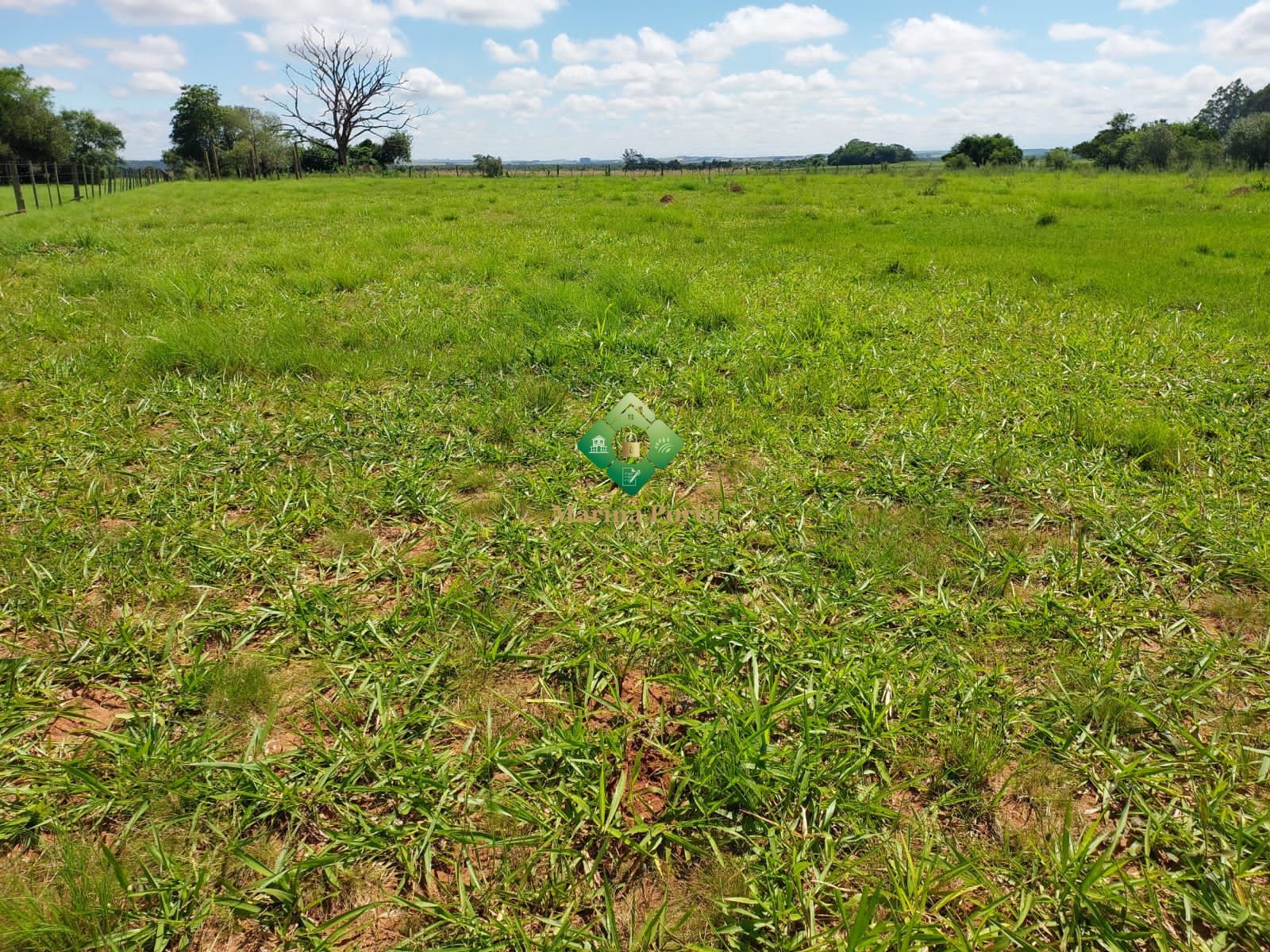 Loteamento e Condomínio à venda, 100000m² - Foto 2