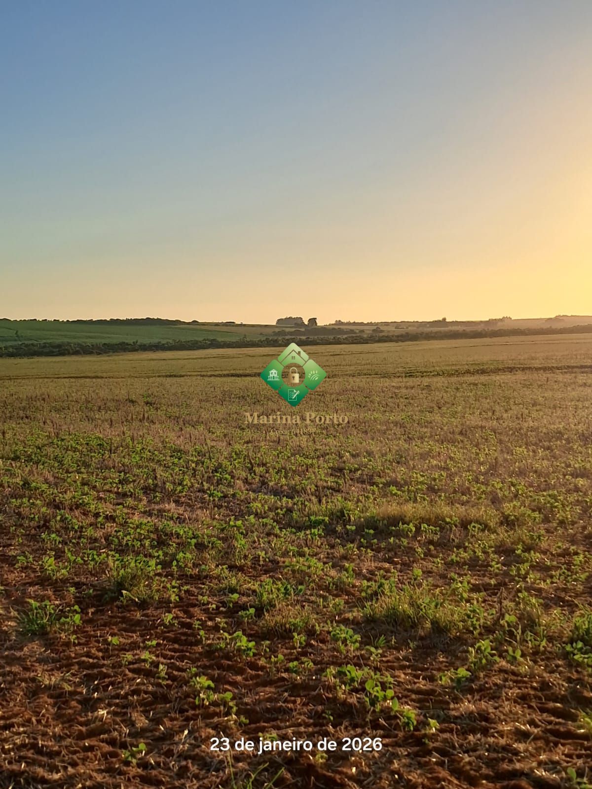 Fazenda, 127 hectares - Foto 8