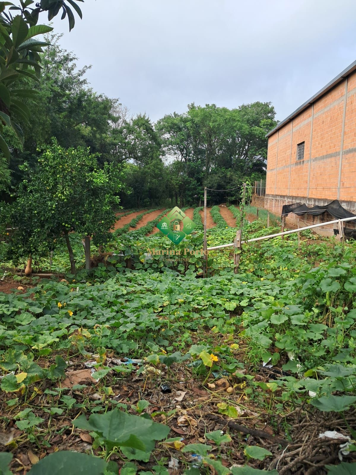 Terreno, 1035 m² - Foto 2