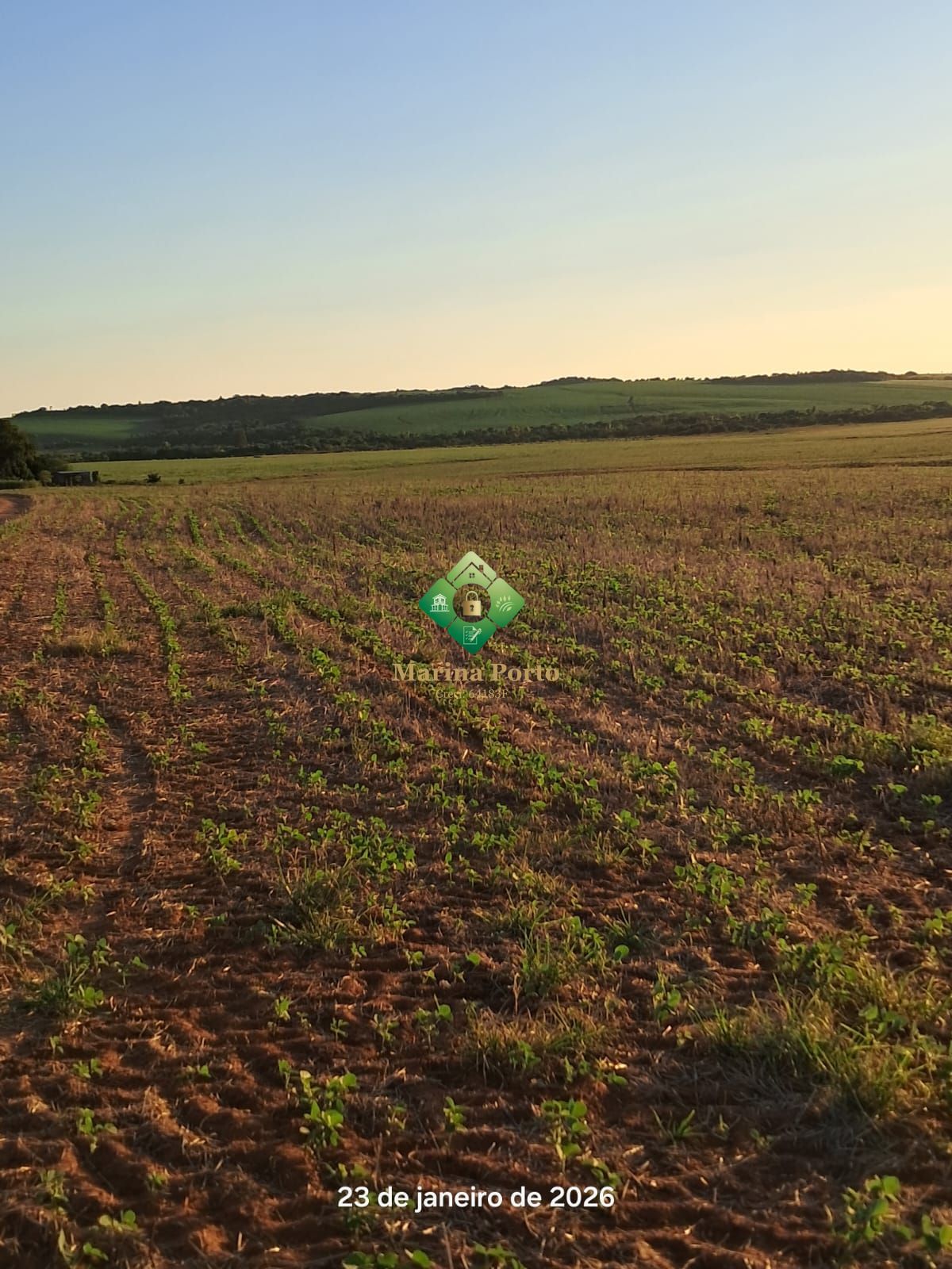 Fazenda, 127 hectares - Foto 3