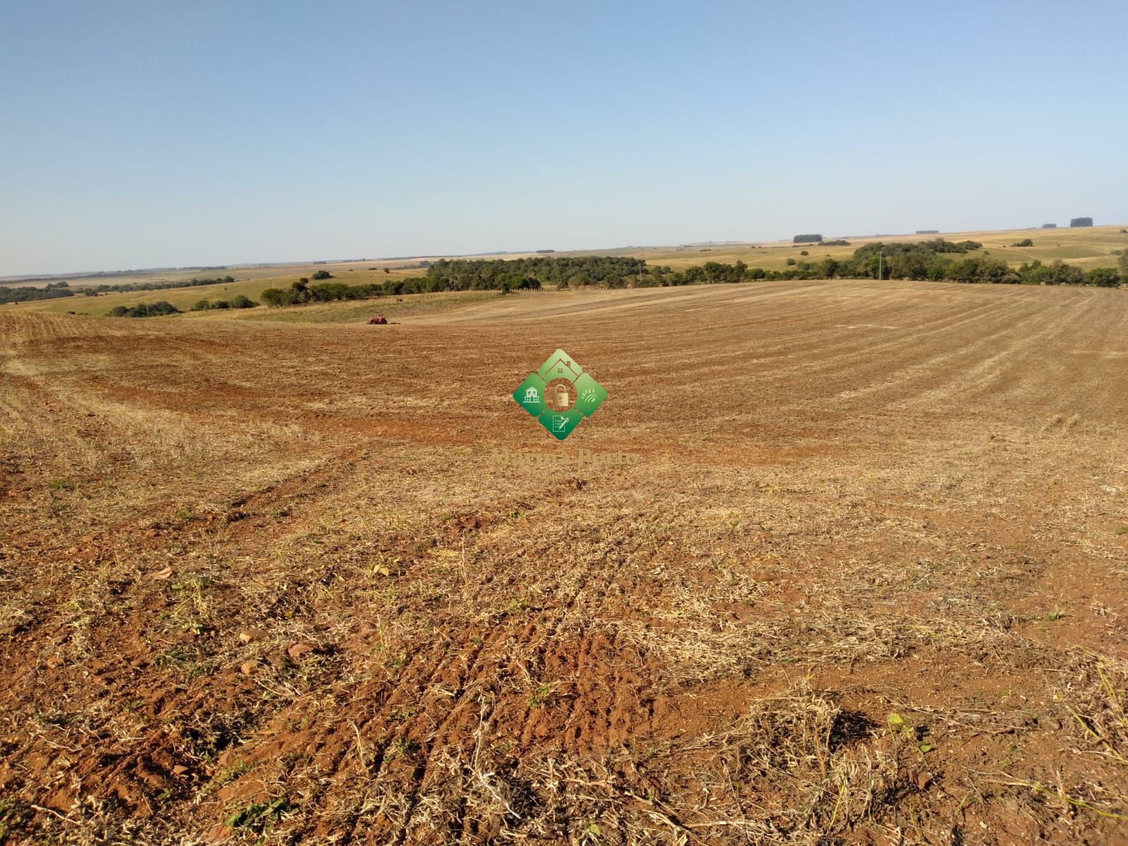 Chácara, 338 hectares - Foto 4