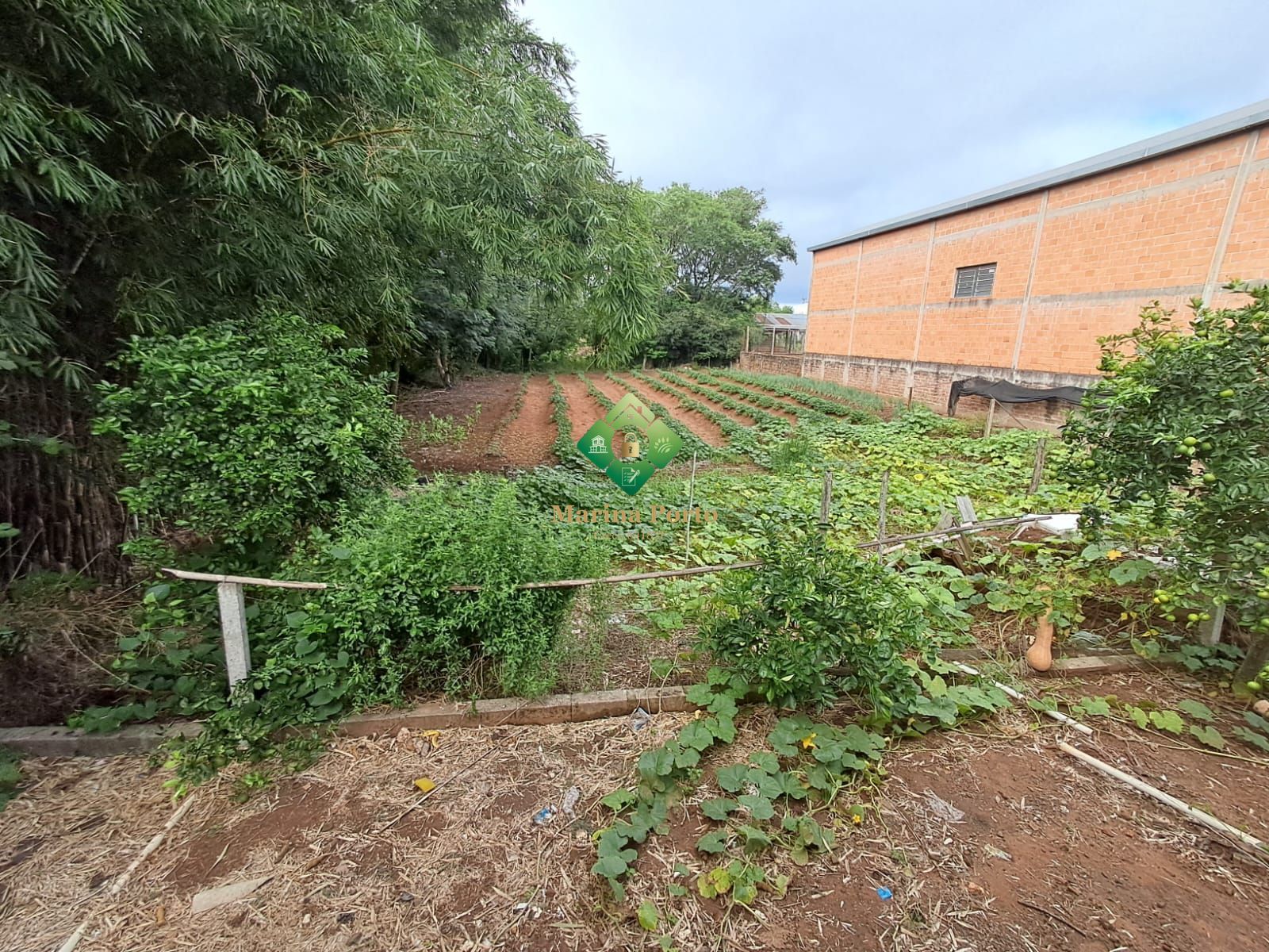 Terreno, 1035 m² - Foto 4