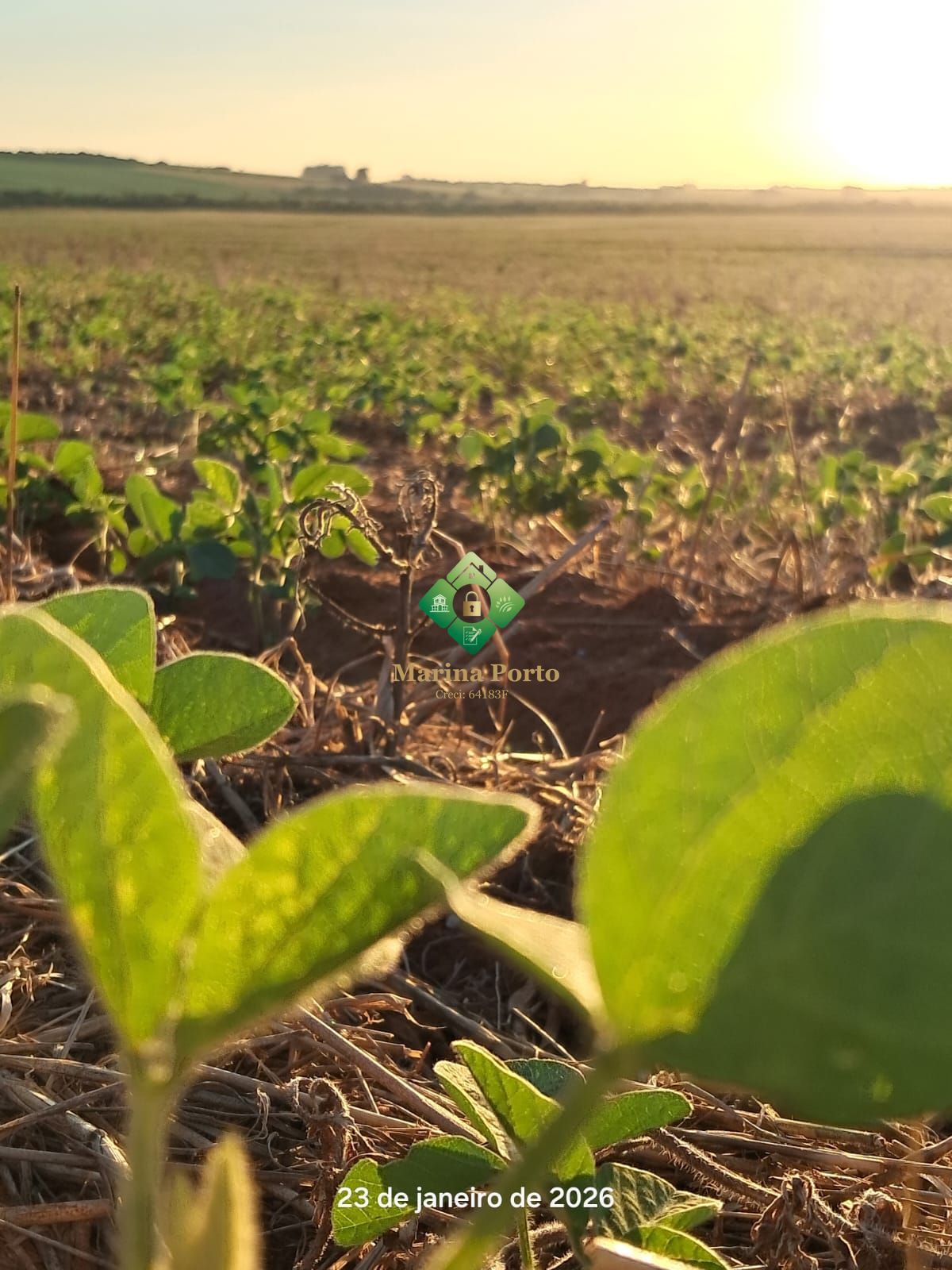 Fazenda, 127 hectares - Foto 4