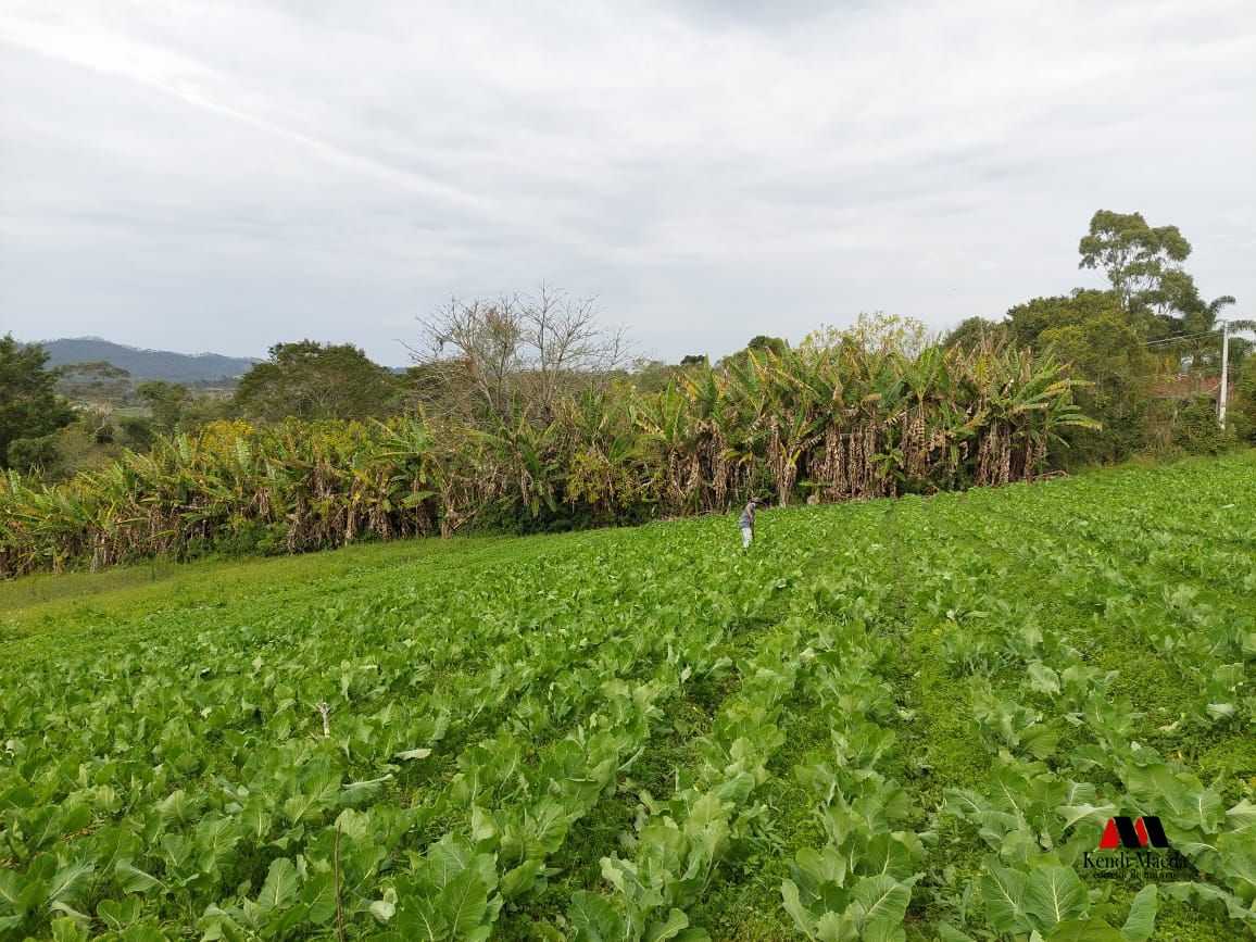 Chácara à venda com 2 quartos, 97250000m² - Foto 11