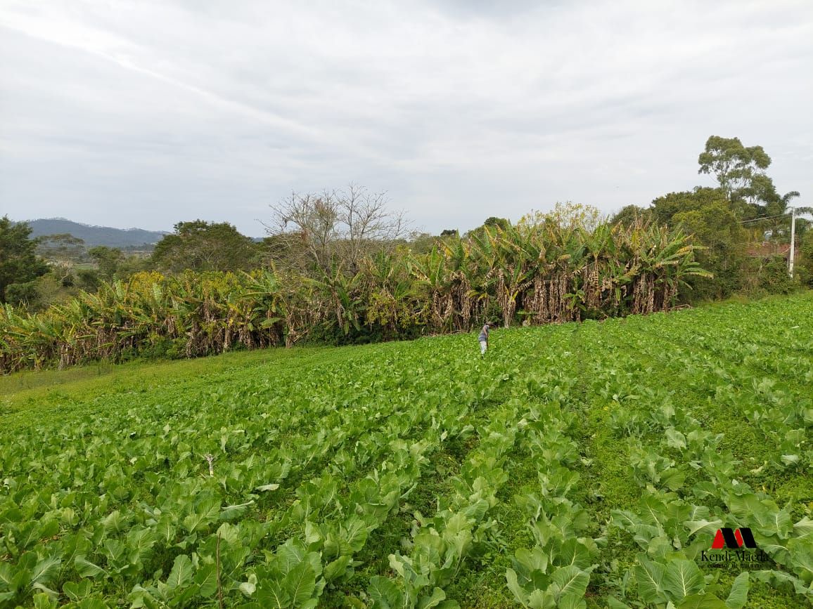 Sítio à venda com 2 quartos, 97250000m² - Foto 11