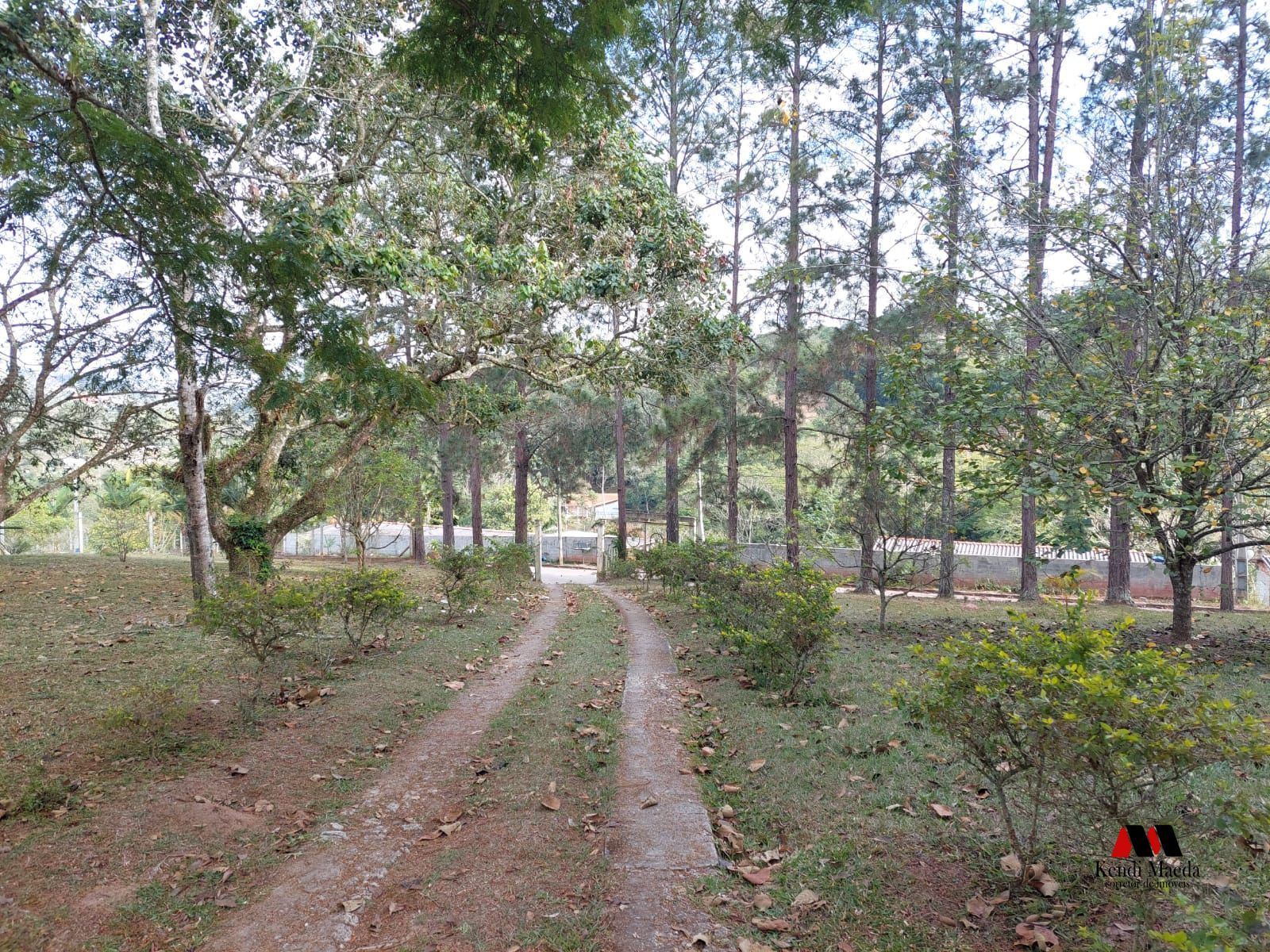 Chácara à venda com 2 quartos, 5000m² - Foto 6