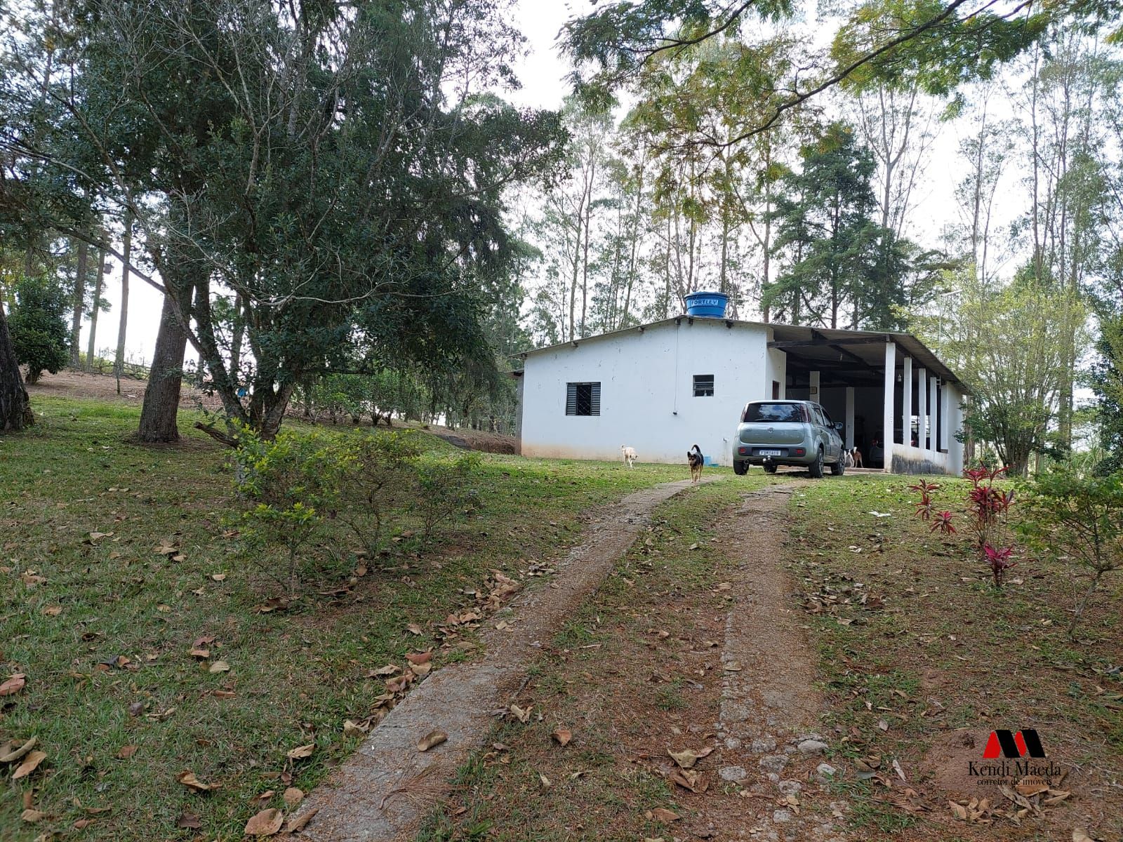 Chácara à venda com 2 quartos, 5000m² - Foto 7