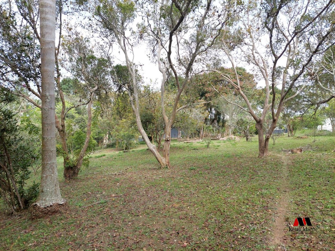 Chácara à venda com 2 quartos, 97250000m² - Foto 10