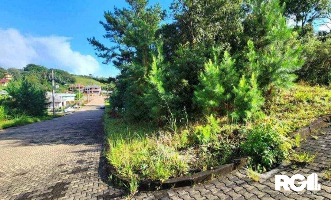 Terreno à venda, 450m² - Foto 2