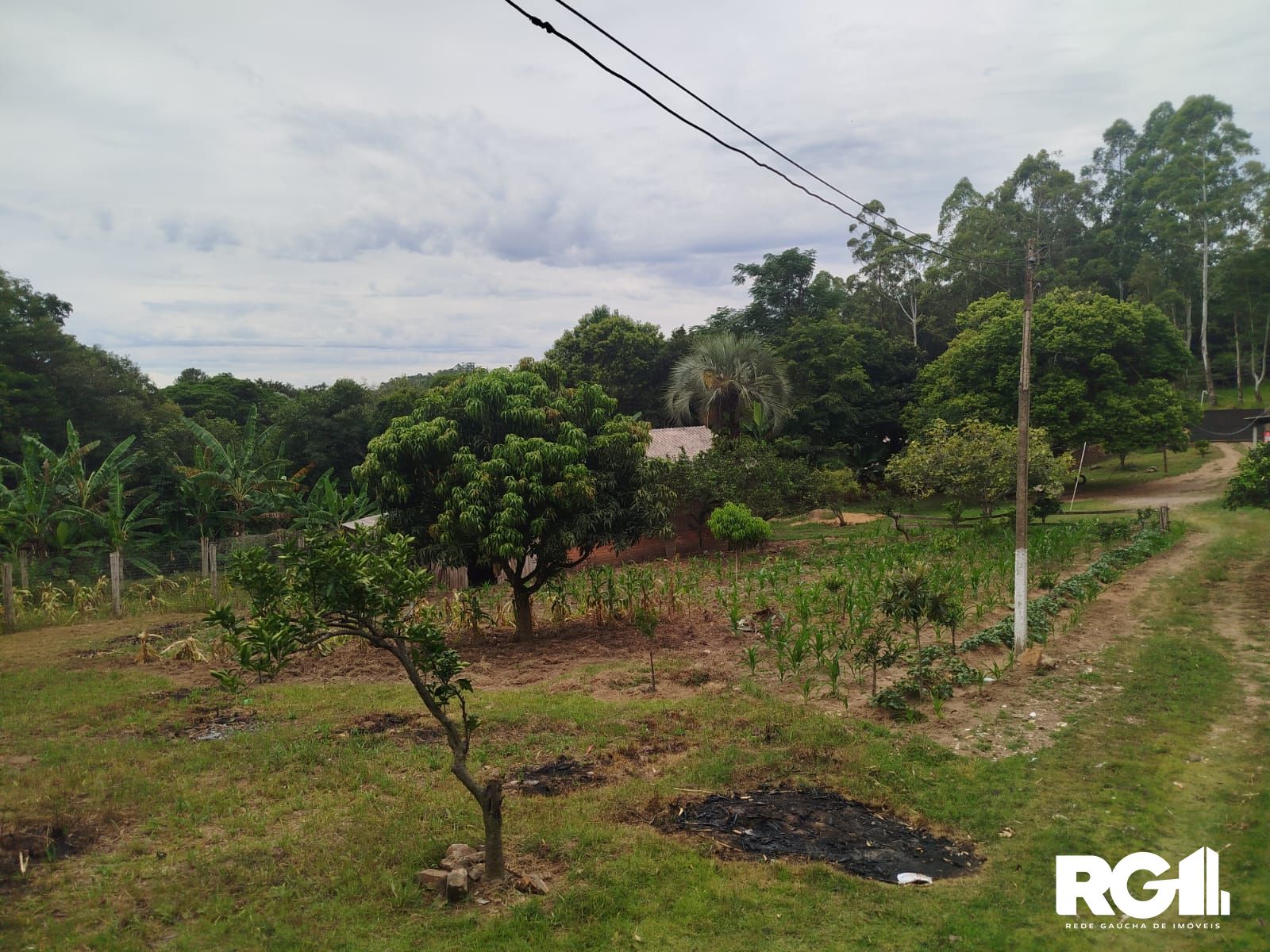 Chácara à venda com 3 quartos, 3853m² - Foto 14