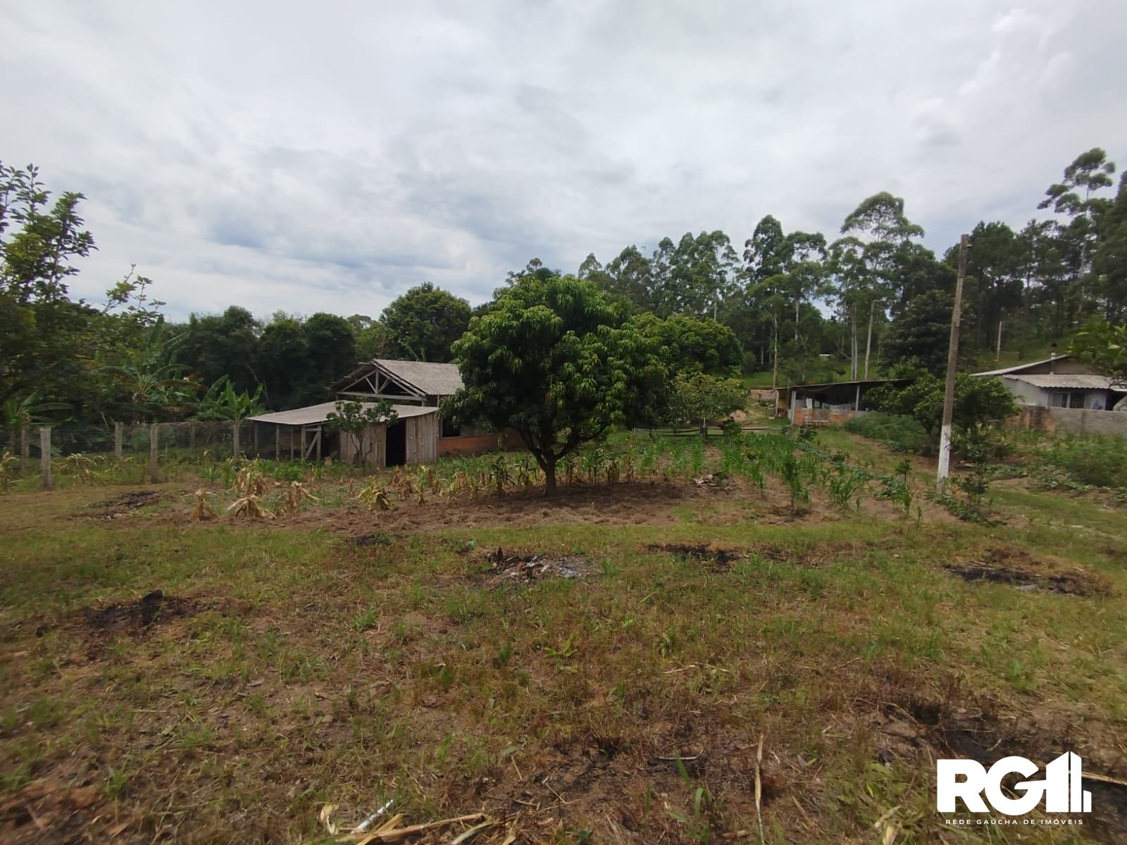 Chácara à venda com 3 quartos, 3853m² - Foto 11