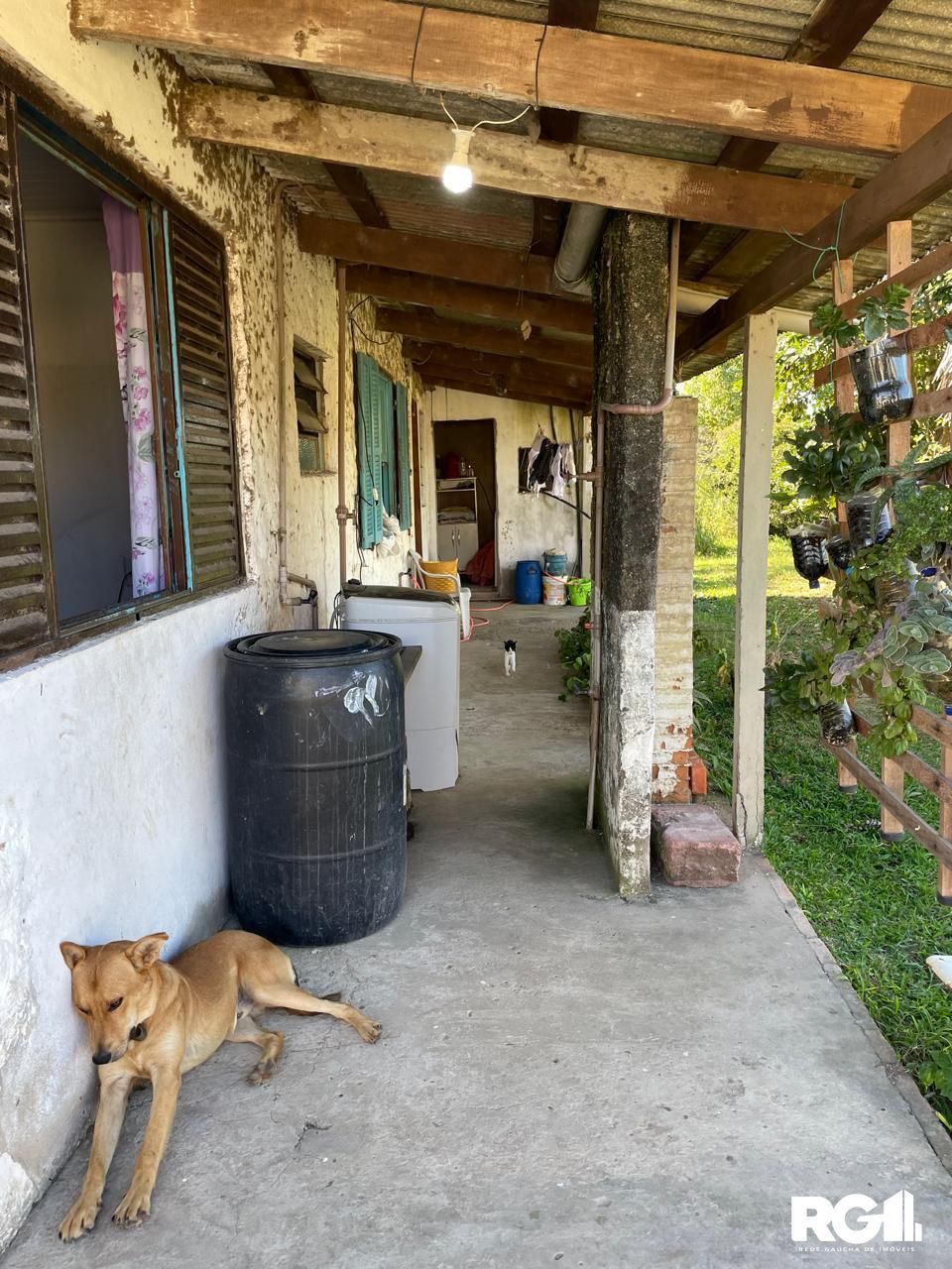 Sítio à venda com 4 quartos, 100m² - Foto 22