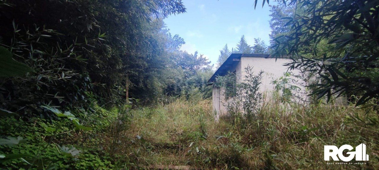 Terreno à venda, 800m² - Foto 8