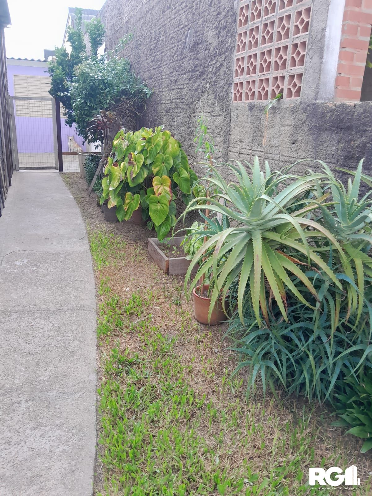 Casa à venda com 2 quartos, 54m² - Foto 2