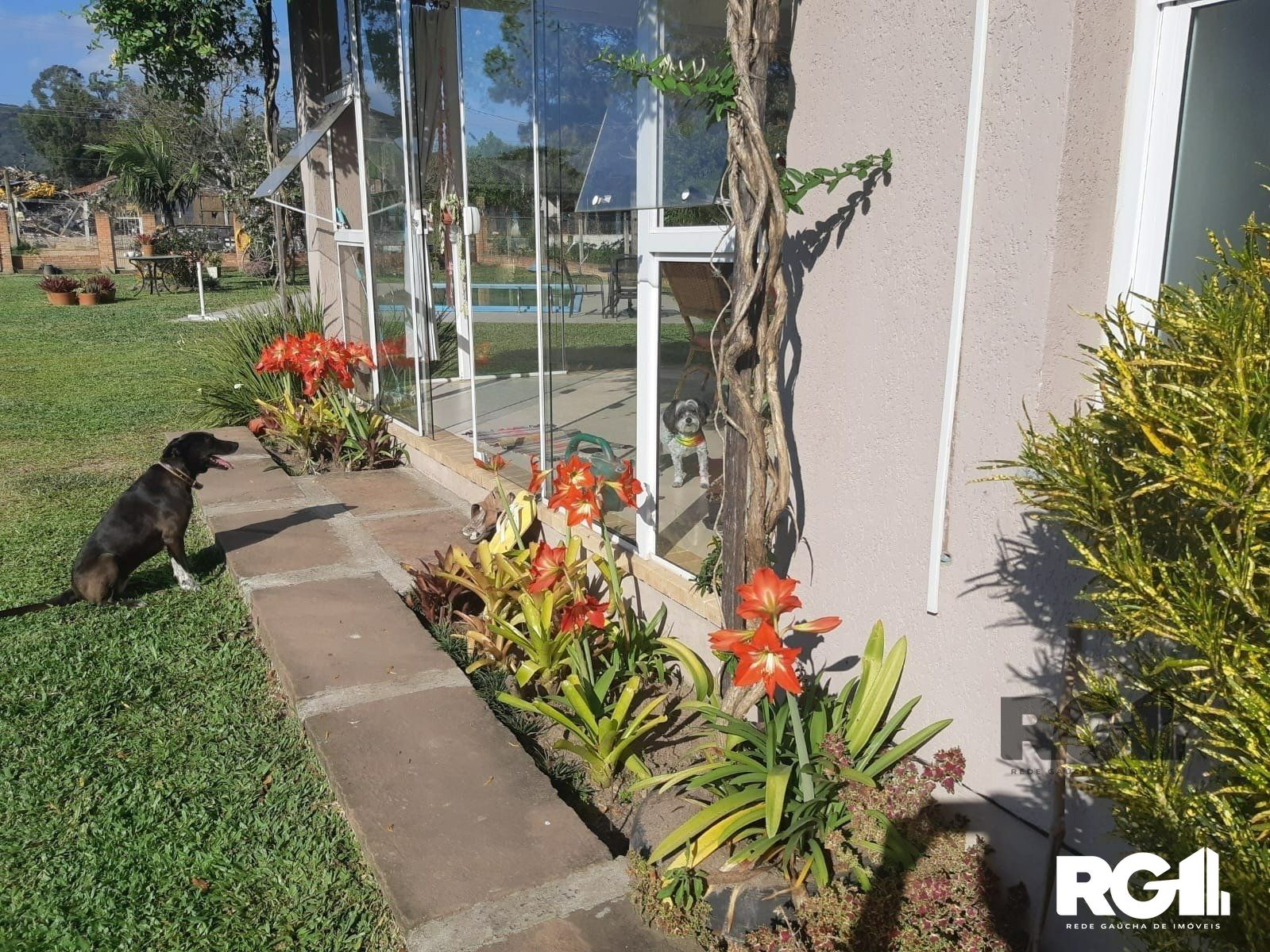 Sítio à venda com 3 quartos, 170m² - Foto 16