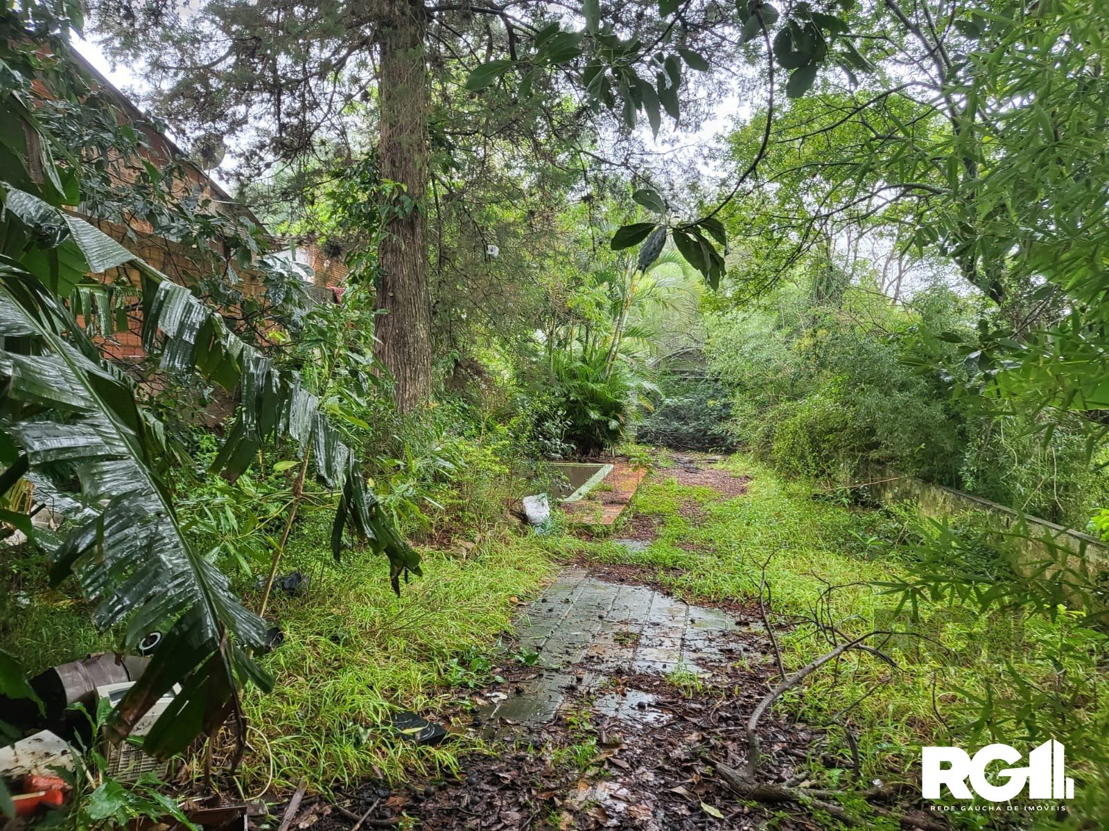 Terreno, 1558 m² - Foto 9