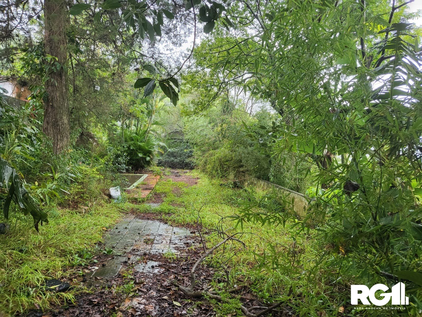 Terreno, 1558 m² - Foto 7