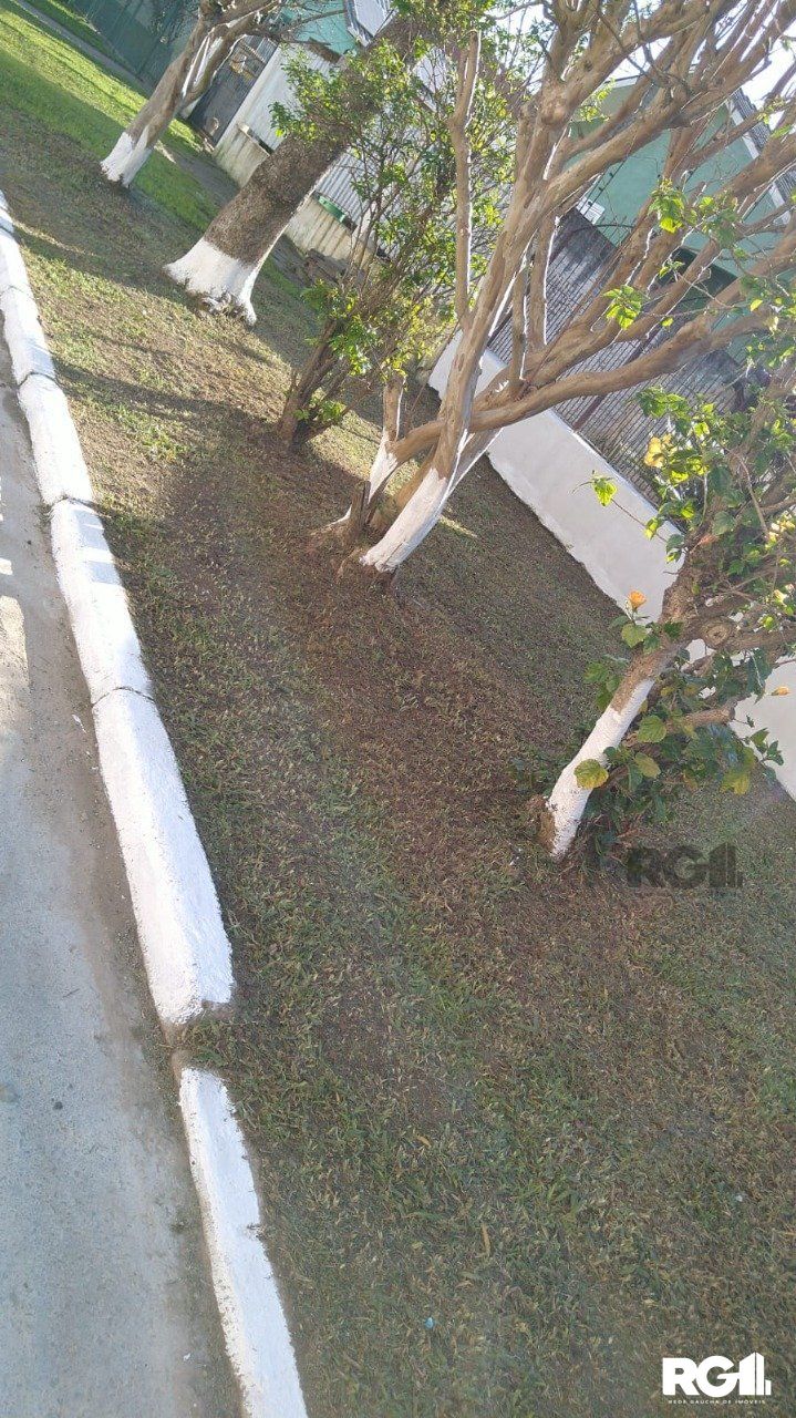Casa à venda com 3 quartos, 120m² - Foto 14