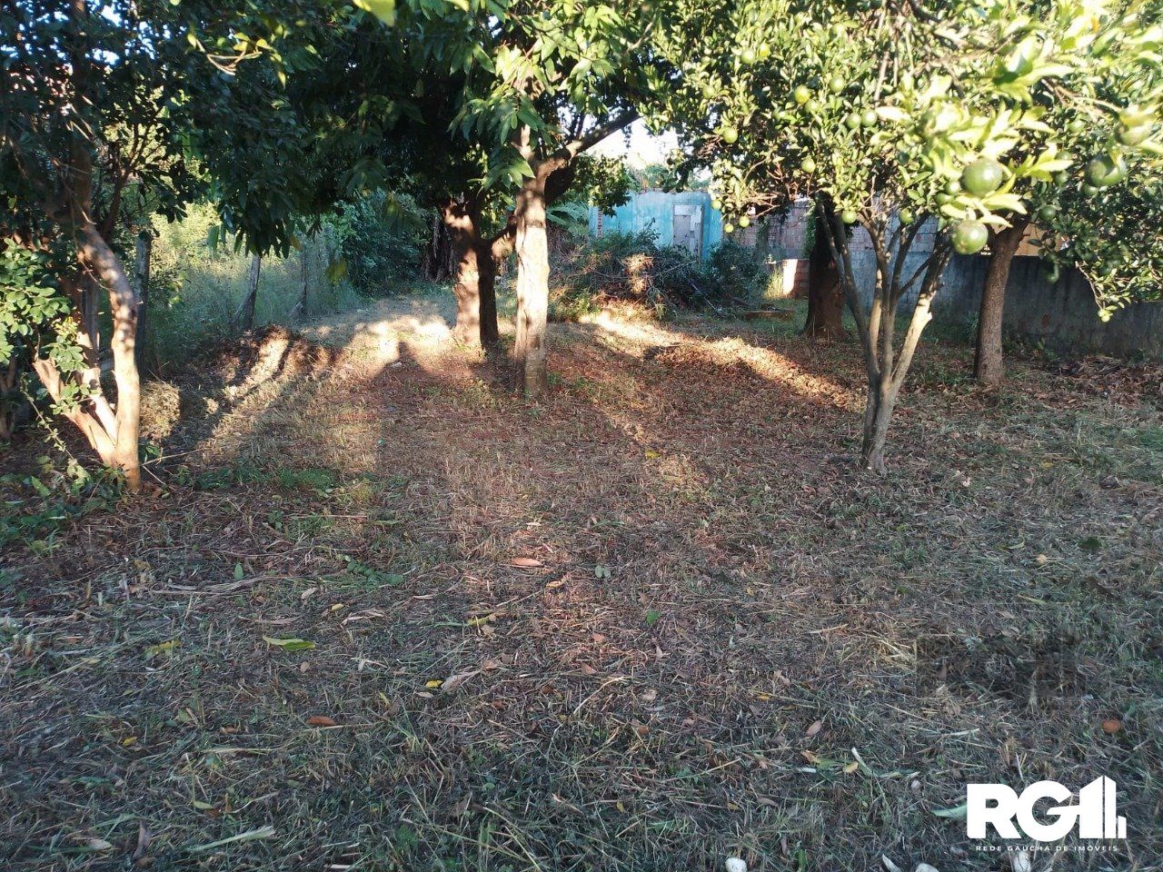 Terreno, 440 m² - Foto 5
