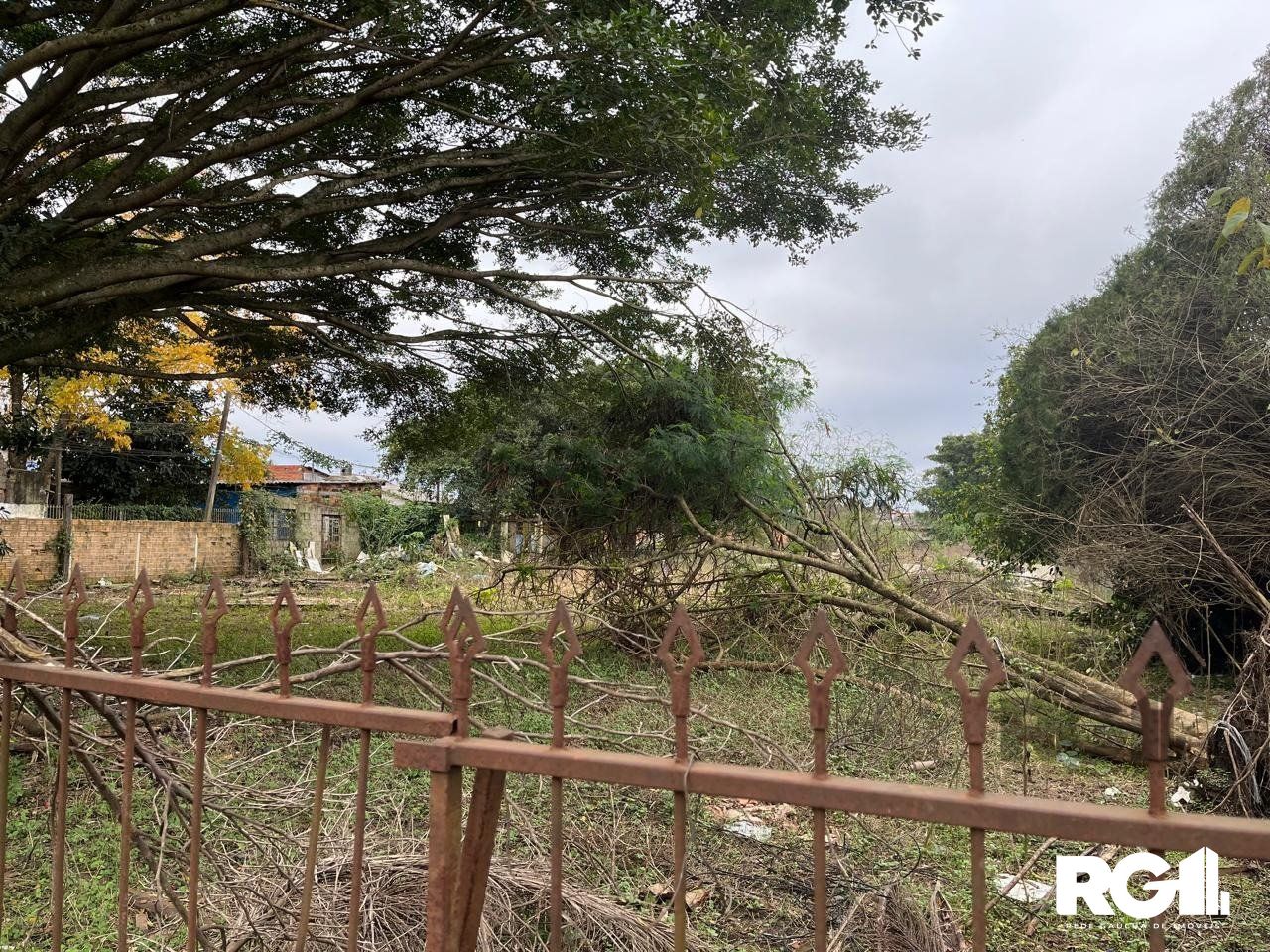 Terreno à venda, 3000m² - Foto 2