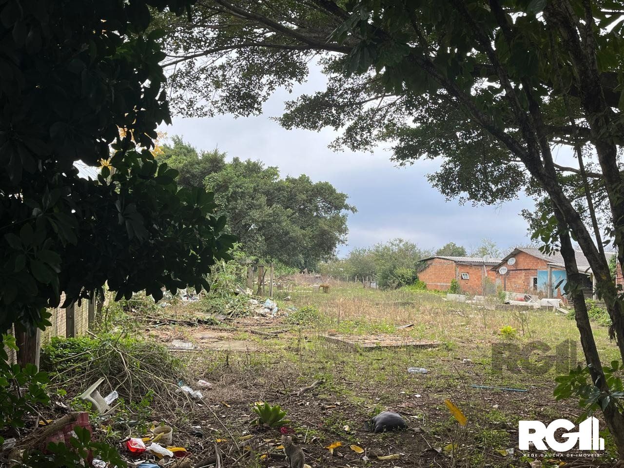 Terreno à venda, 3000m² - Foto 4