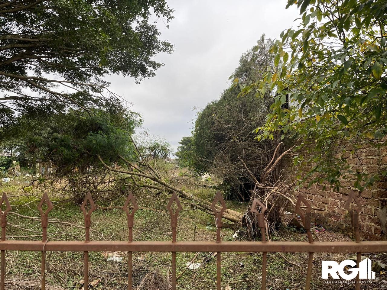 Terreno à venda, 3000m² - Foto 1