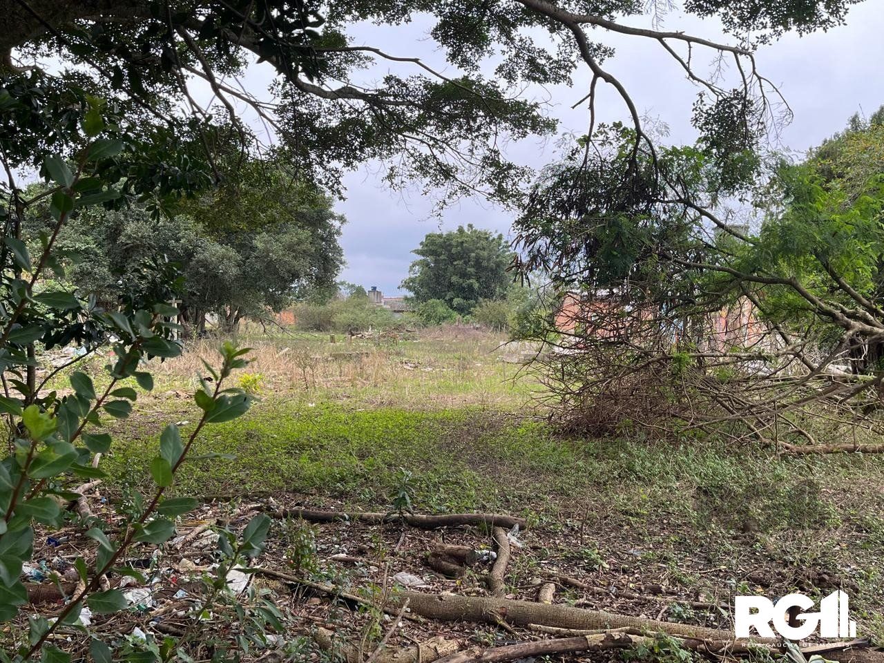 Terreno à venda, 3000m² - Foto 3