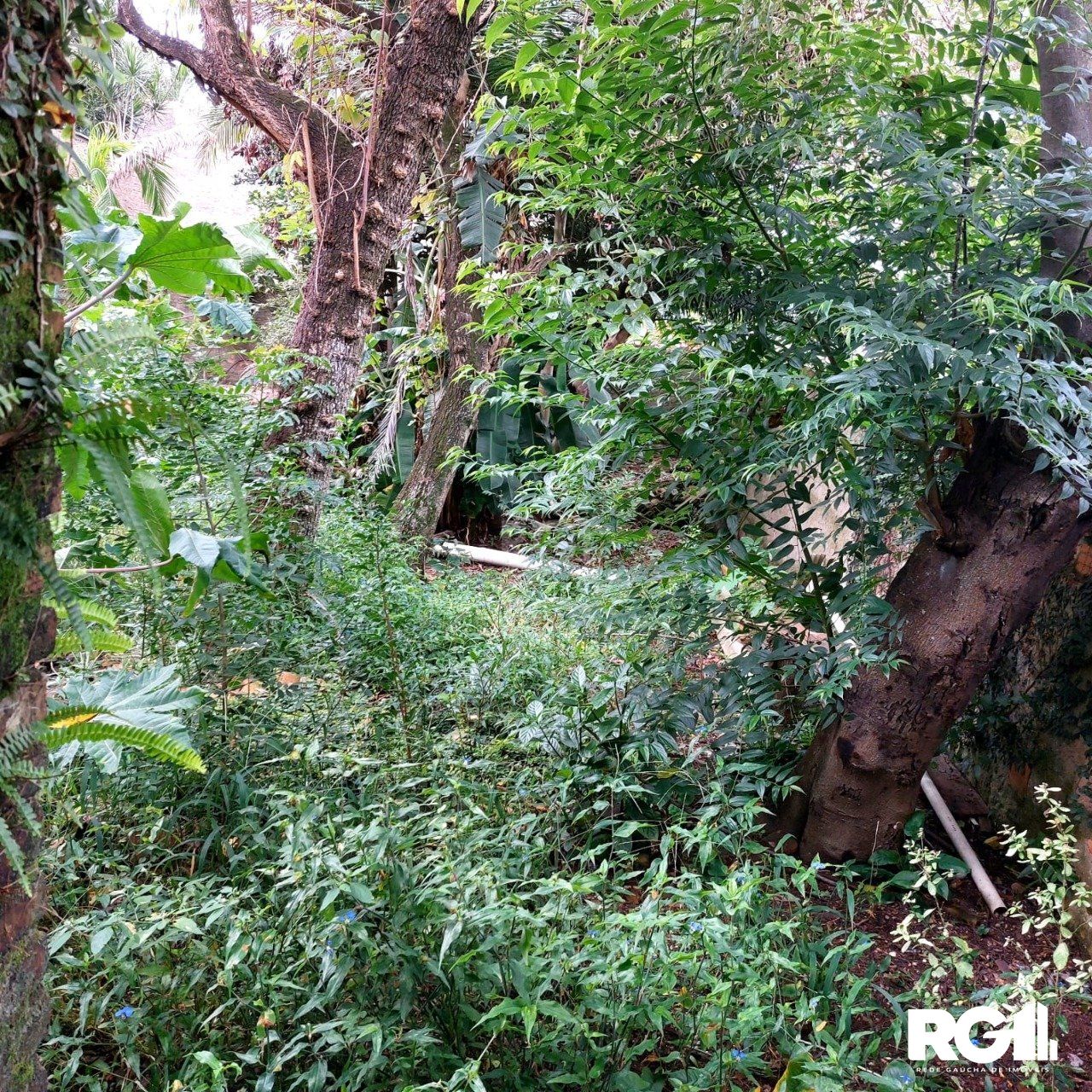 Terreno à venda, 484m² - Foto 28