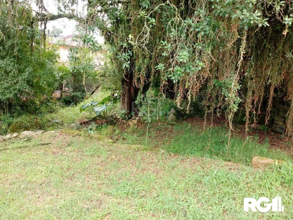 Sítio à venda com 3 quartos, 300m² - Foto 27