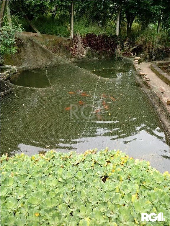 Sítio à venda com 3 quartos, 300m² - Foto 7