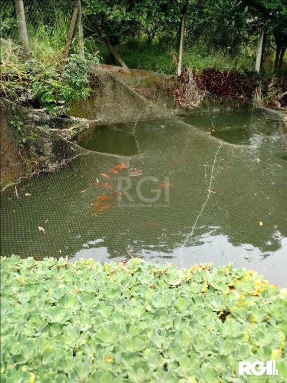 Sítio à venda com 3 quartos, 300m² - Foto 8