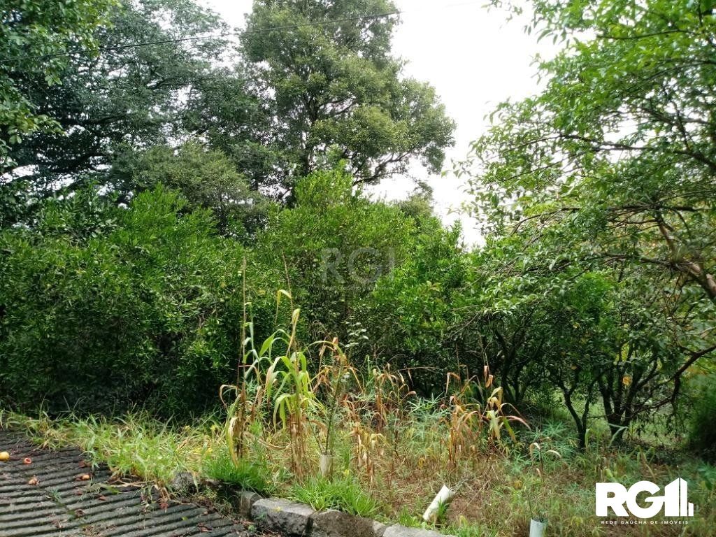 Sítio à venda com 3 quartos, 300m² - Foto 23