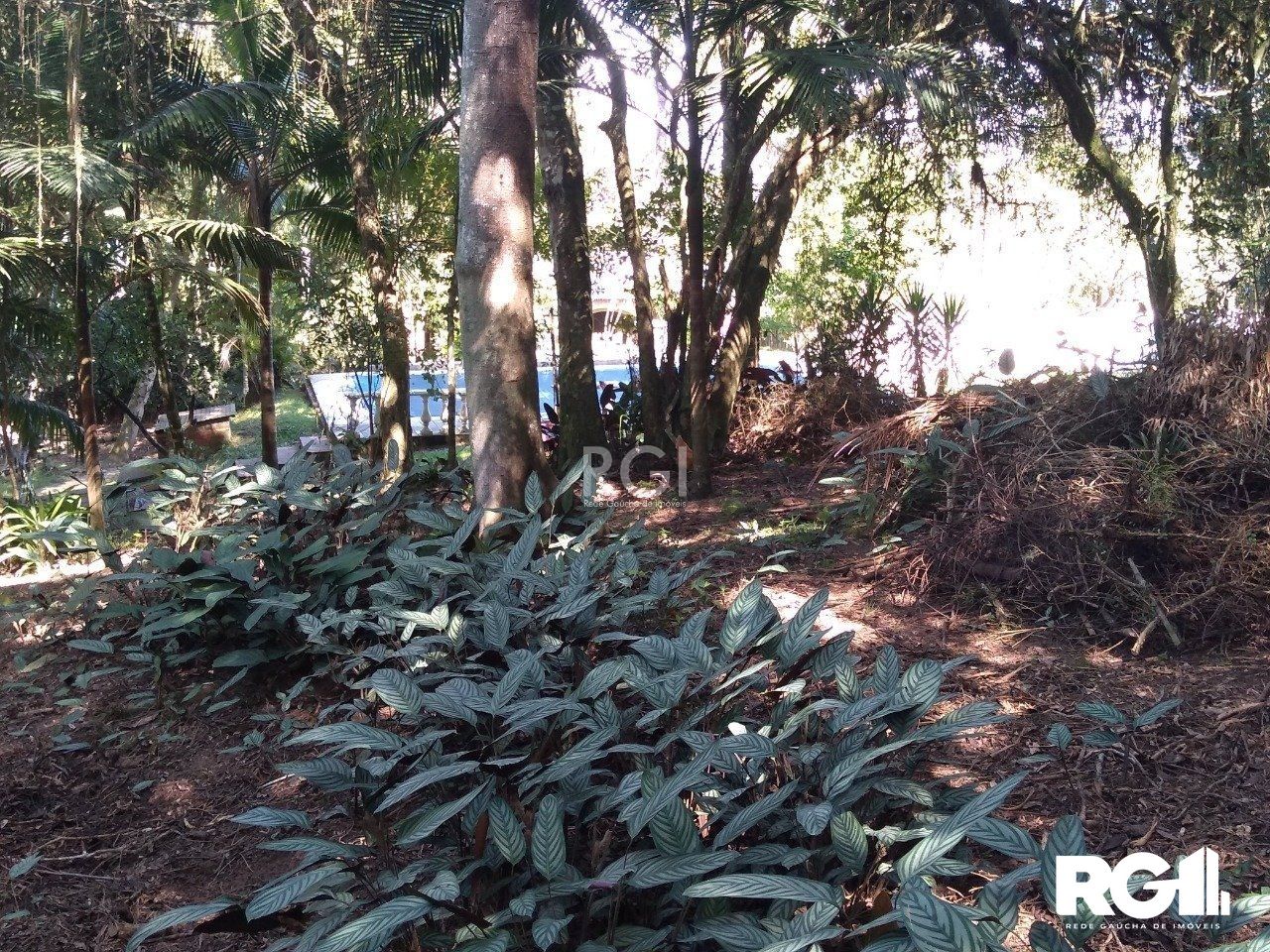 Terreno à venda, 6660m² - Foto 82