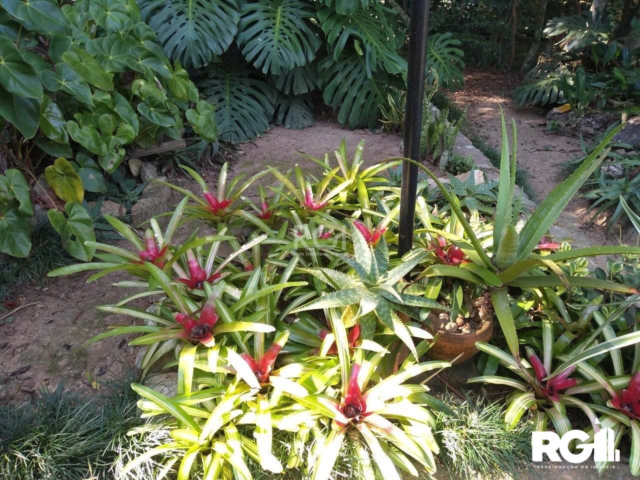 Terreno à venda, 6660m² - Foto 19
