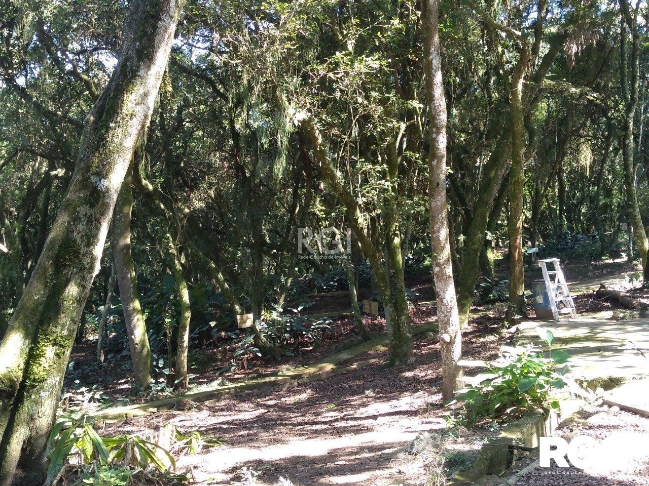 Terreno à venda, 6660m² - Foto 84
