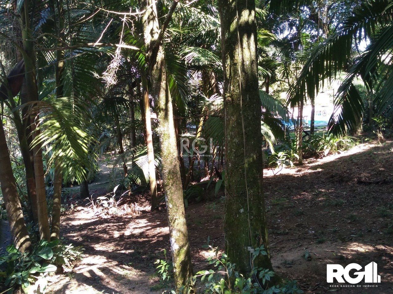 Terreno à venda, 6660m² - Foto 1