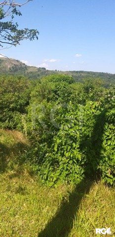 Terreno à venda, 173m² - Foto 1
