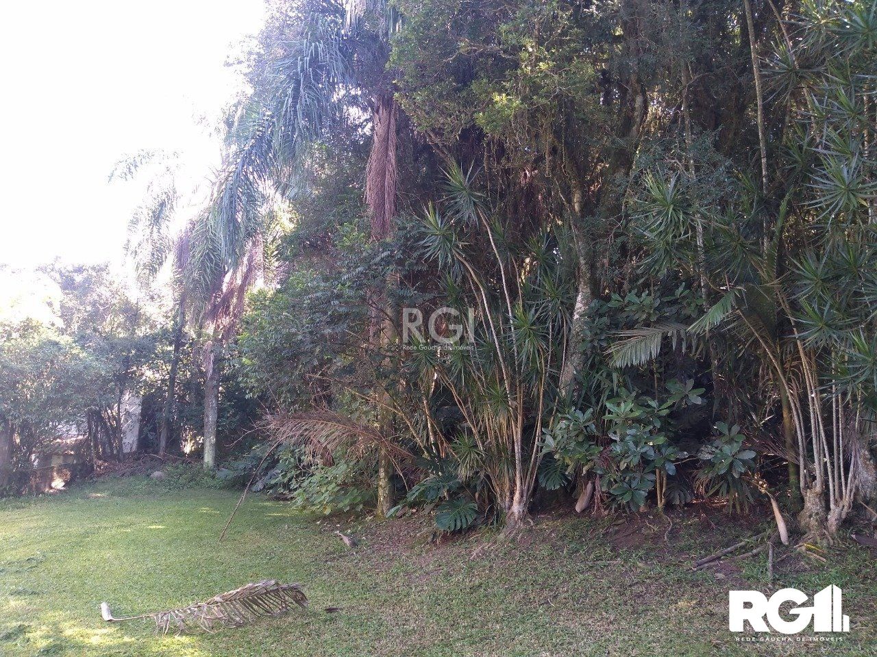 Terreno à venda, 6660m² - Foto 6