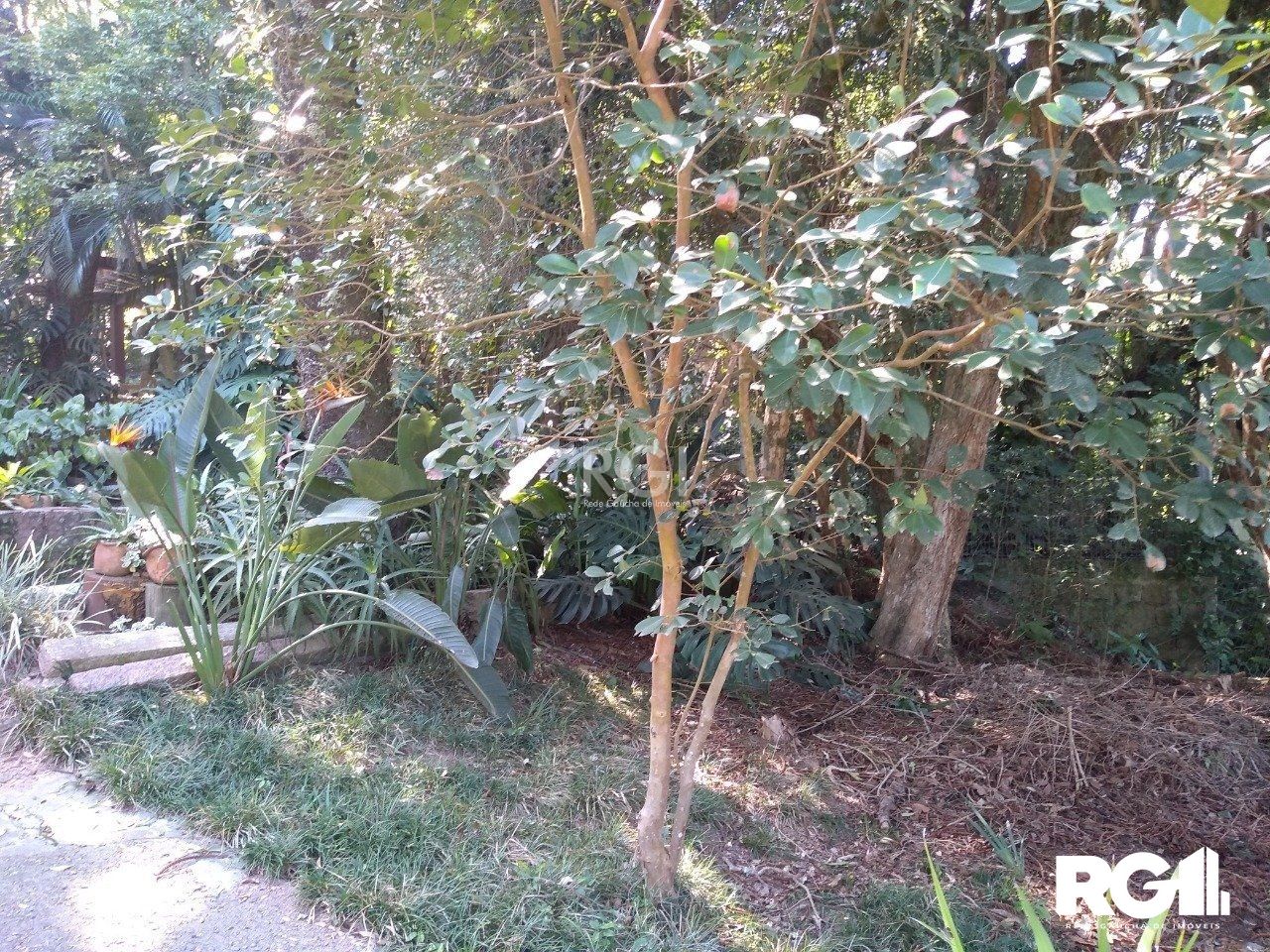 Terreno à venda, 6660m² - Foto 18