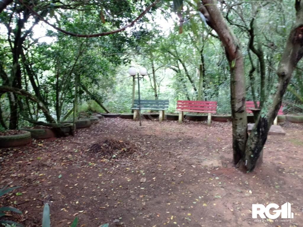 Sítio à venda com 3 quartos, 300m² - Foto 14