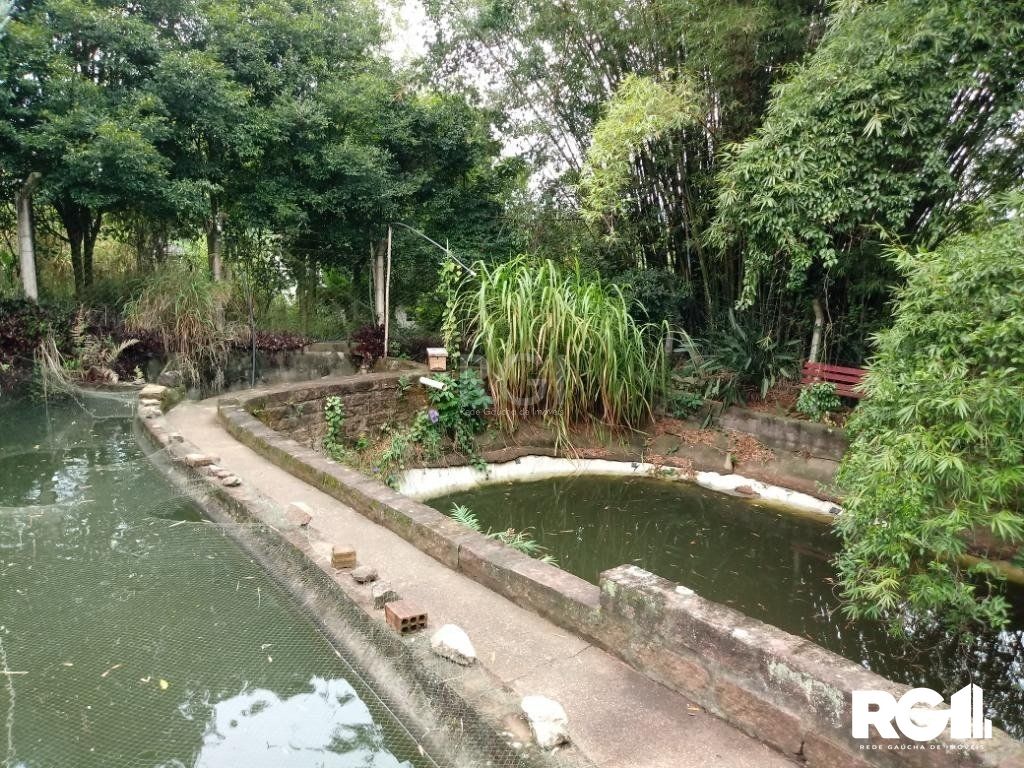 Sítio à venda com 3 quartos, 300m² - Foto 11