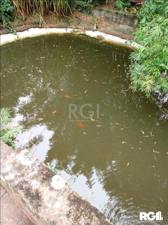 Sítio à venda com 3 quartos, 300m² - Foto 9