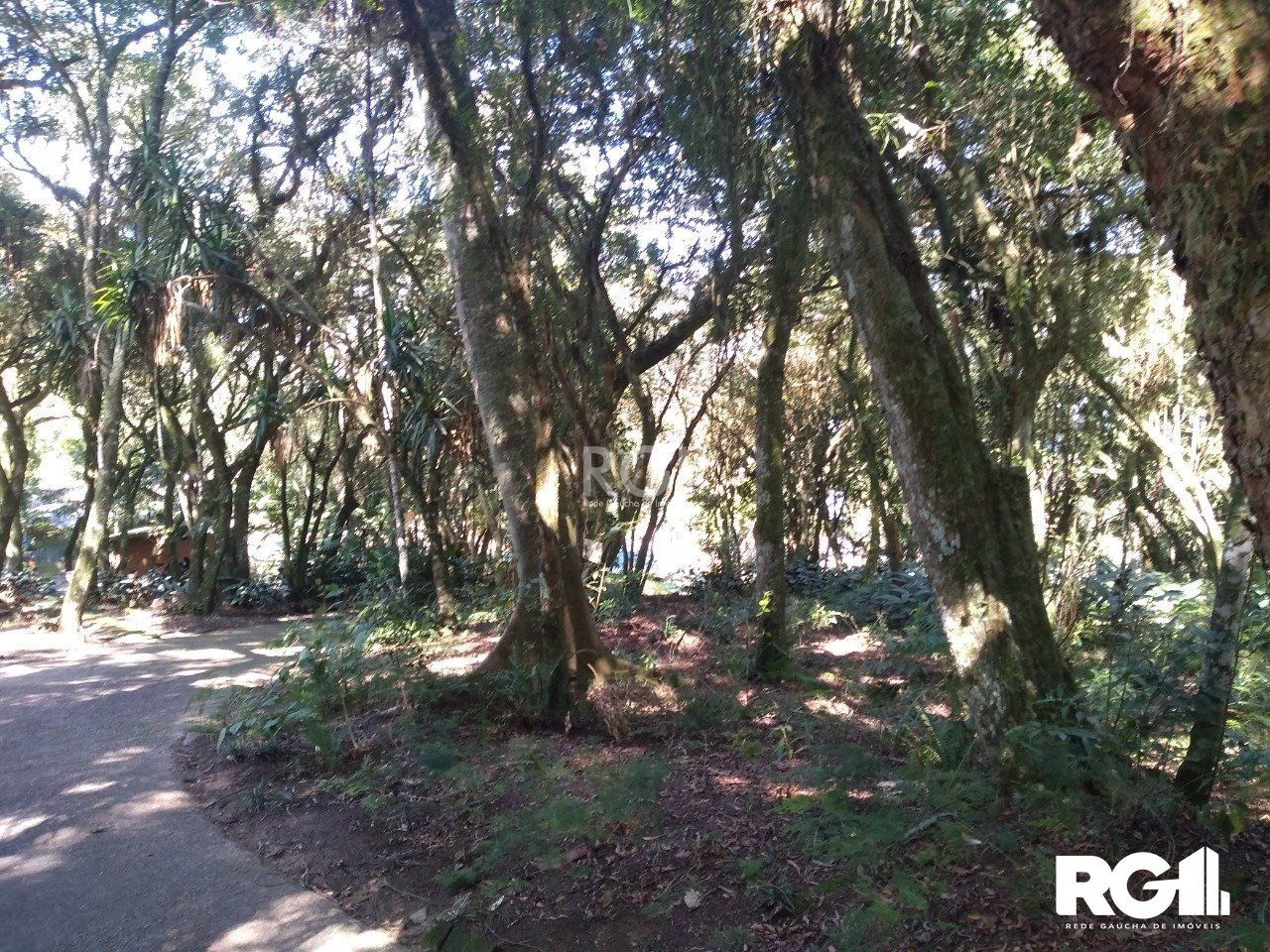 Terreno à venda, 6660m² - Foto 107