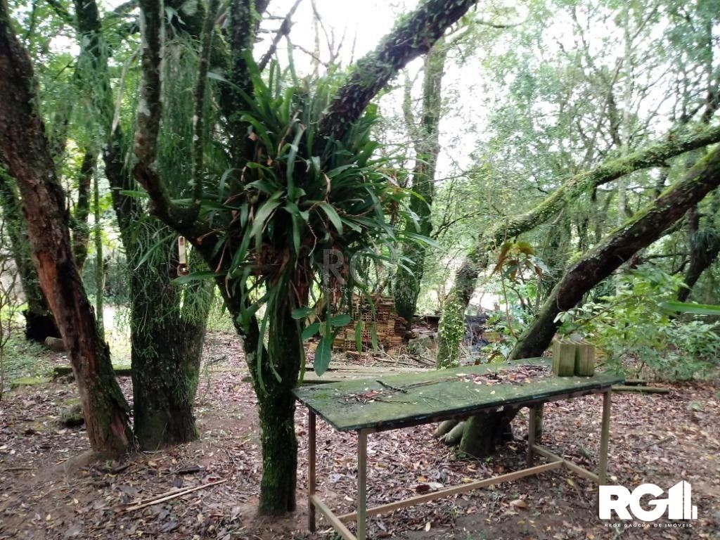 Sítio à venda com 3 quartos, 300m² - Foto 29