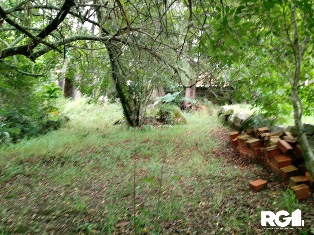 Sítio à venda com 3 quartos, 300m² - Foto 30