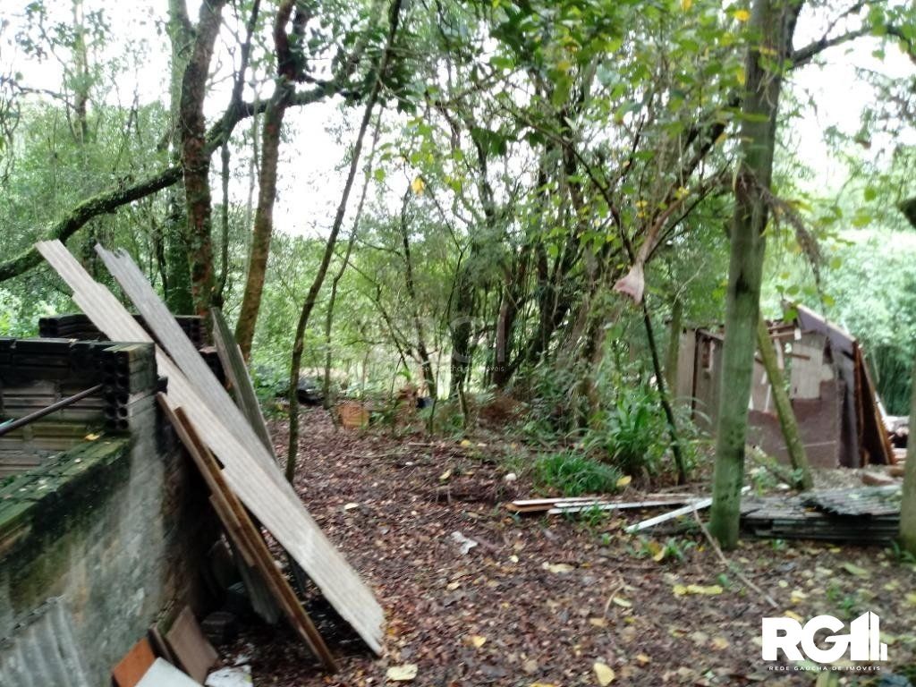 Sítio à venda com 3 quartos, 300m² - Foto 31