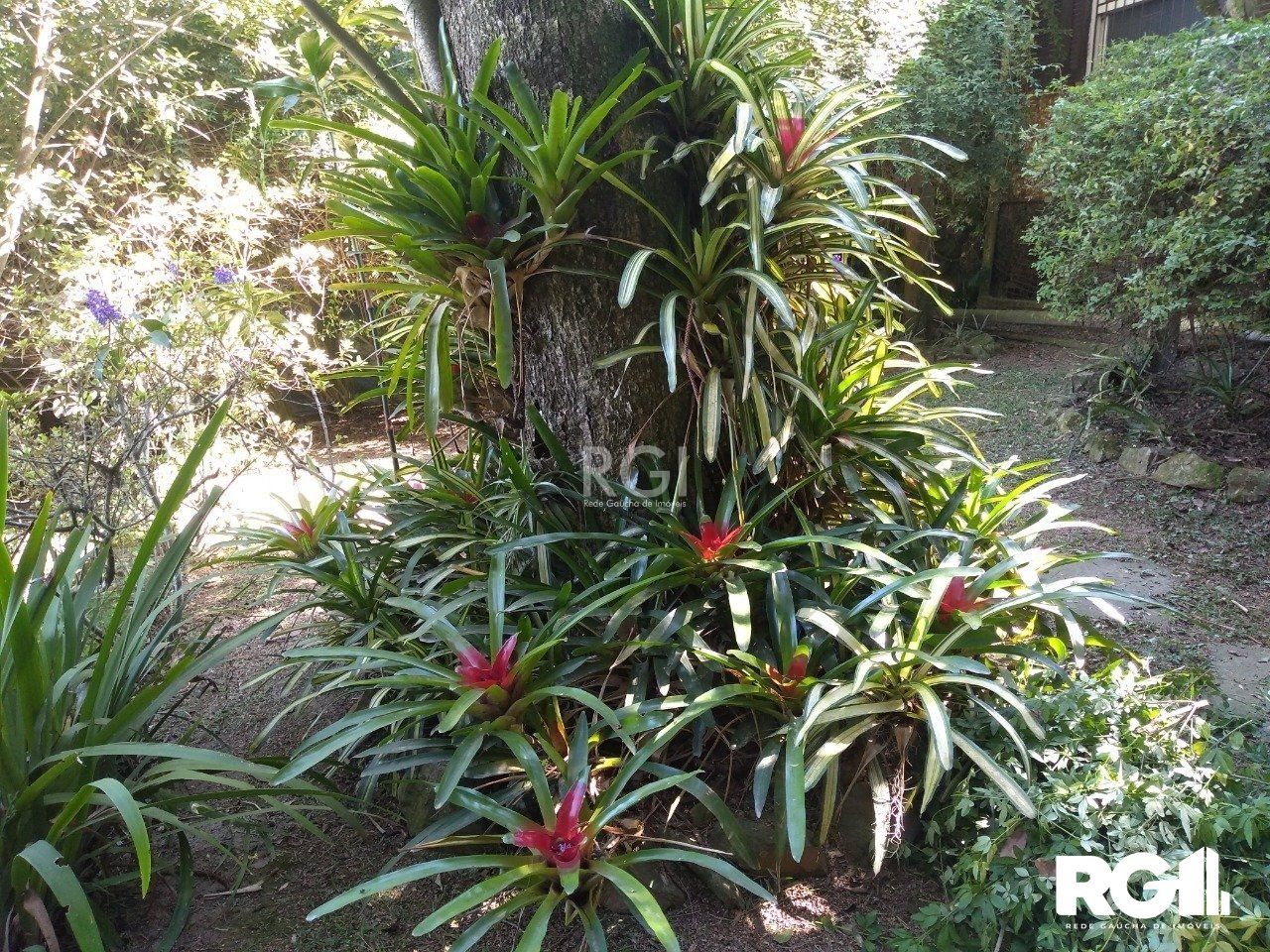 Terreno à venda, 6660m² - Foto 11