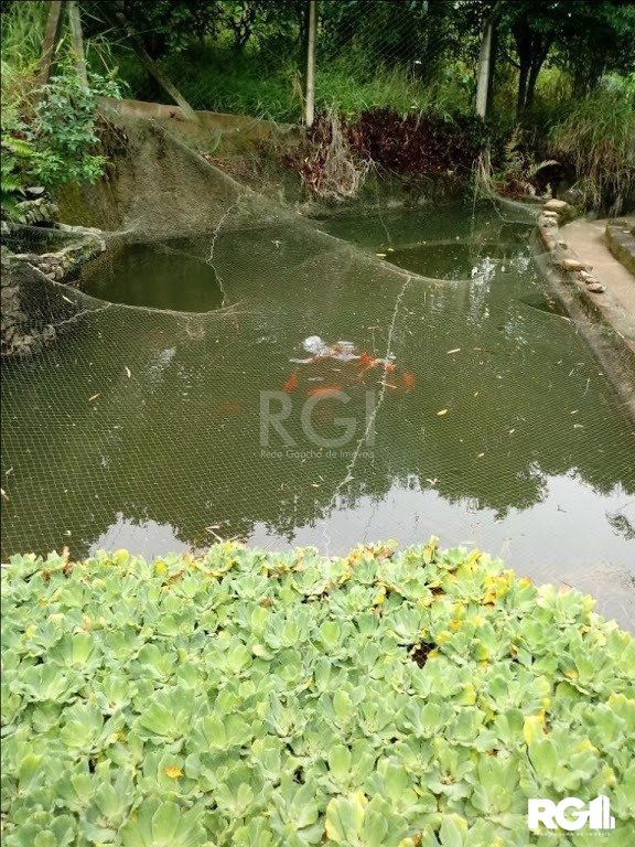 Sítio à venda com 3 quartos, 300m² - Foto 6