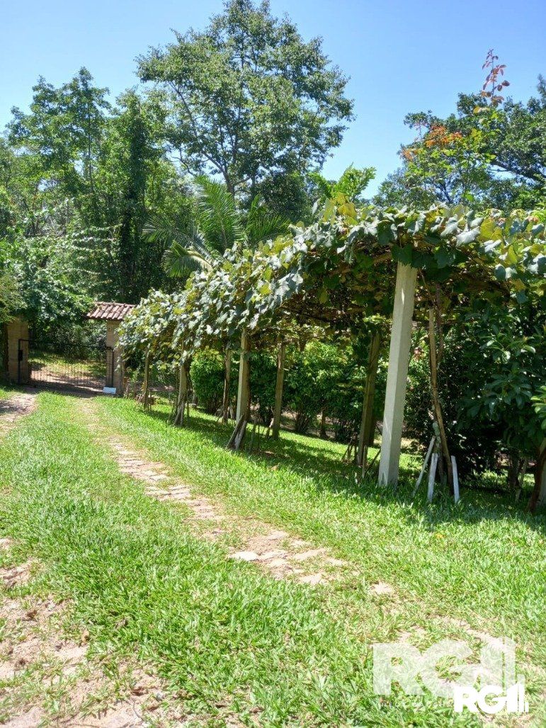 Fazenda à venda com 3 quartos, 90m² - Foto 12