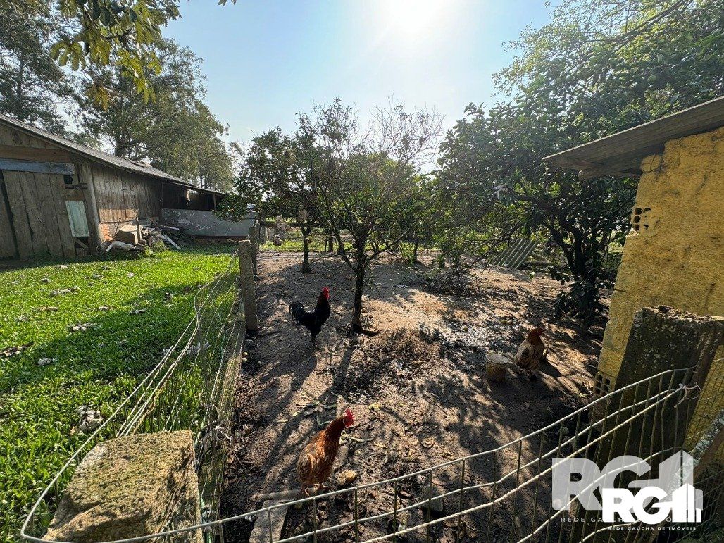 Sítio à venda com 2 quartos, 168m² - Foto 14